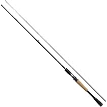 Amazon | ダイワ(DAIWA) ベイトリール 19 タトゥーラ TW 100XHL